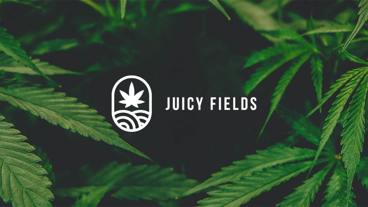 Der große Cannabis-Betrug: Wie Anleger in eine Falle tappten - Juicy Fields - KM ONLINEMARKETING